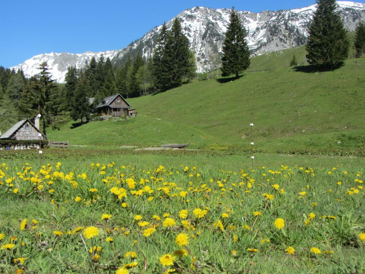 Almgasthaus Seebergalm Turnau Ngoại thất bức ảnh